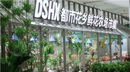 【都市花鄉(xiāng)】植耕長(zhǎng)沙22年，讓人們的生活更加美好